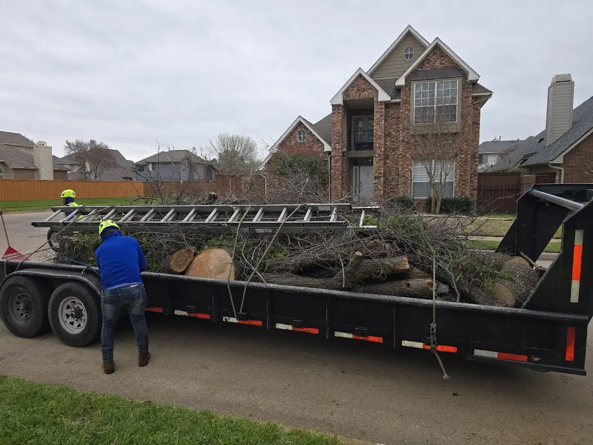 Expert Lot Clearing with proper safety equipment in Edward